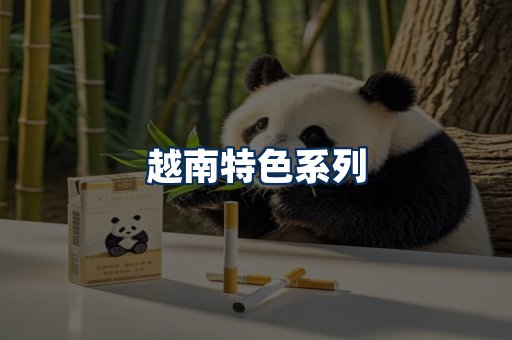 越南香烟展示